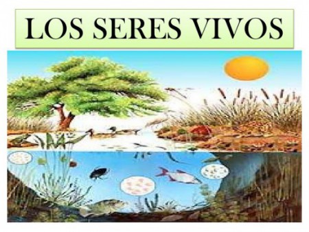 Seres vivos